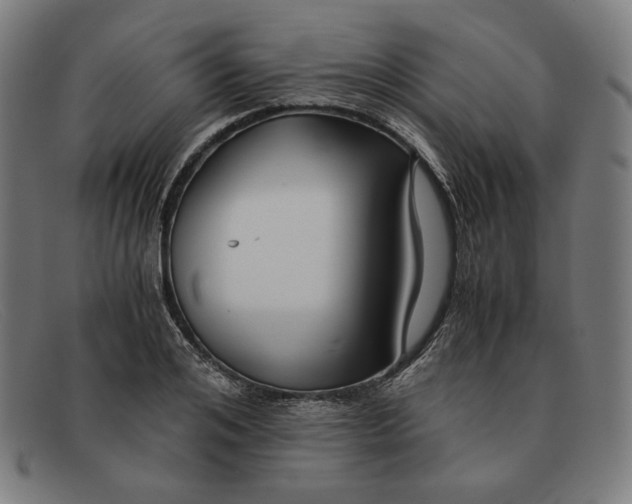 X0000091300984200708311333