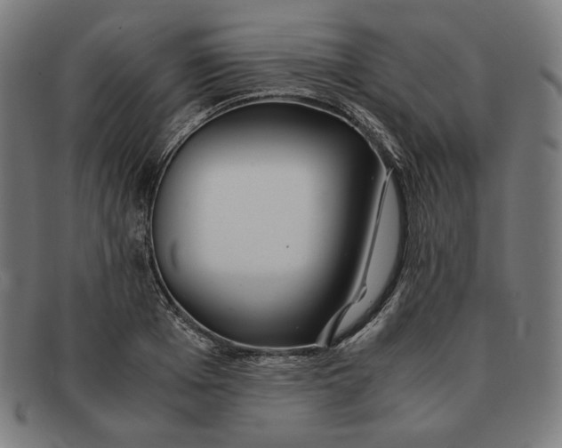 X0000091300985200708311333