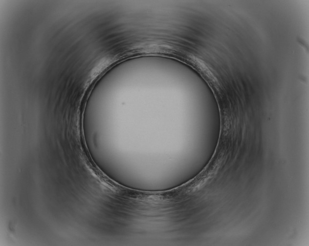 X0000091300986200708311333