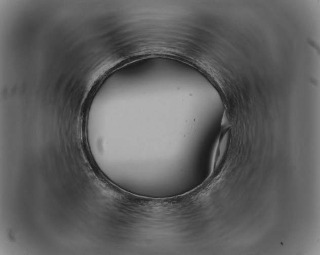 X0000091300987200708311333