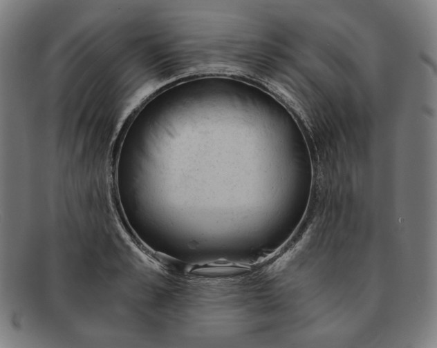 X0000091300989200708311333