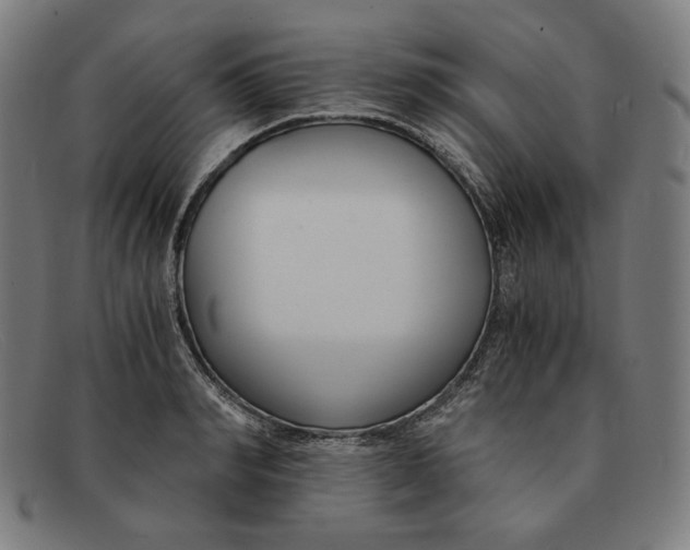 X0000091300990200708311333