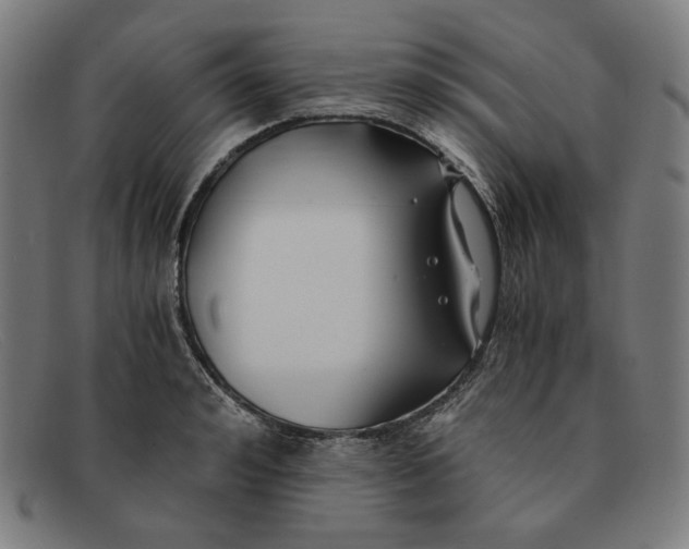 X0000091300992200708311333