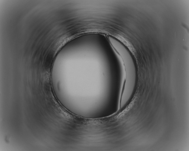 X0000091300993200708311333