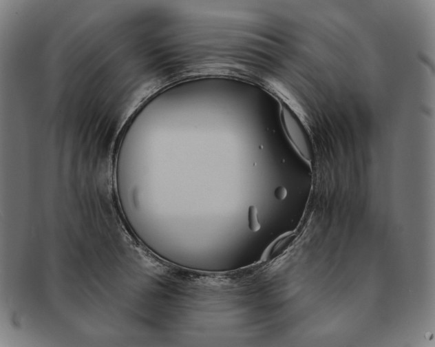 X0000091300994200708311333