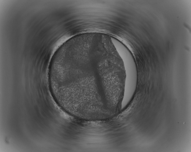 X0000091300995200708311333