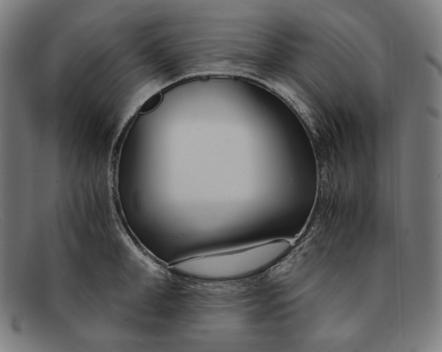 X0000091300998200708311333