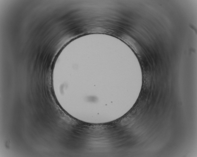 X0000091301000200708311333