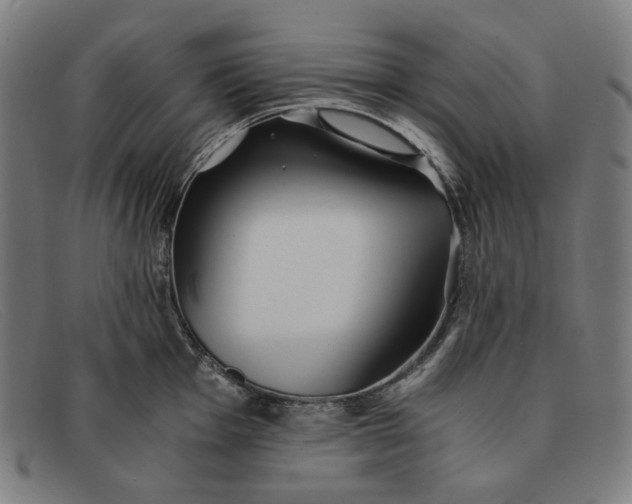 X0000091301001200708311333