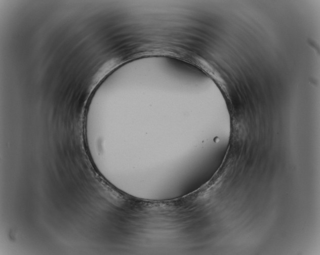 X0000091301002200708311333