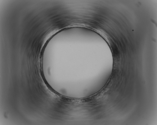 X0000091301003200708311333