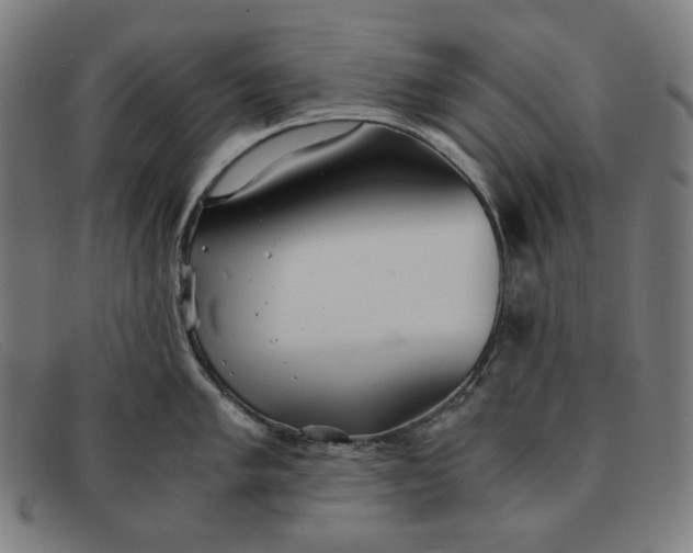 X0000091301005200708311333