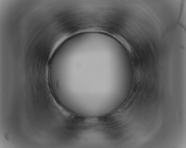 X0000091301006200708311333