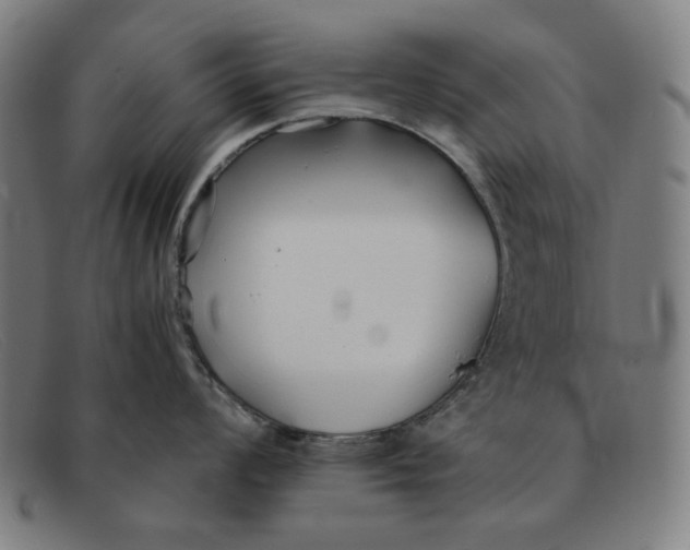 X0000091301008200708311333