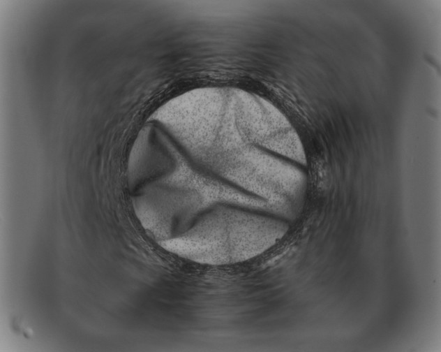 X0000091301009200708311332