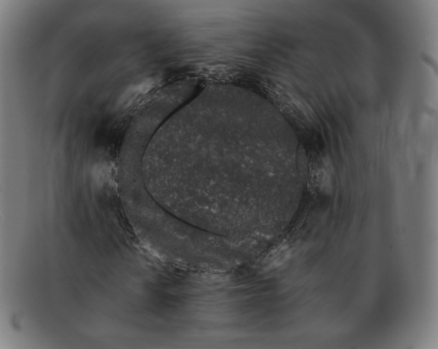 X0000091301010200708311332