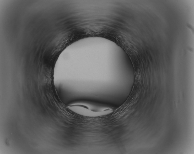 X0000091301012200708311332