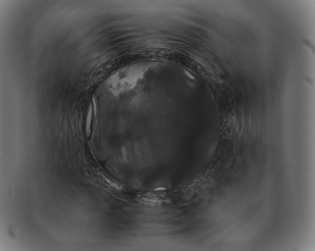 X0000091301013200708311332