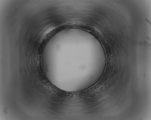 X0000091301016200708311332