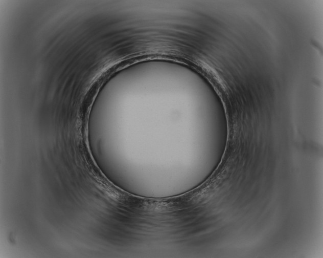 X0000091301019200708311332