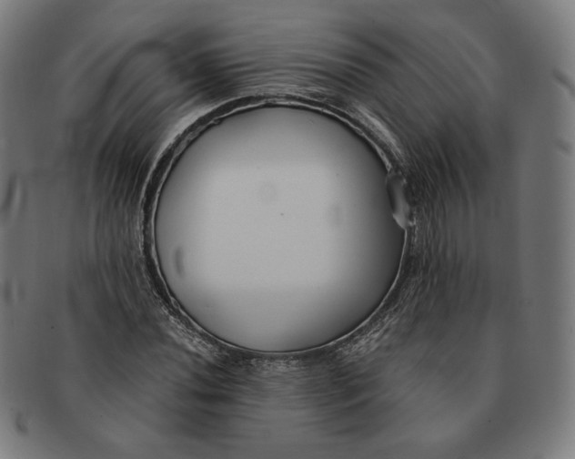 X0000091301020200708311332