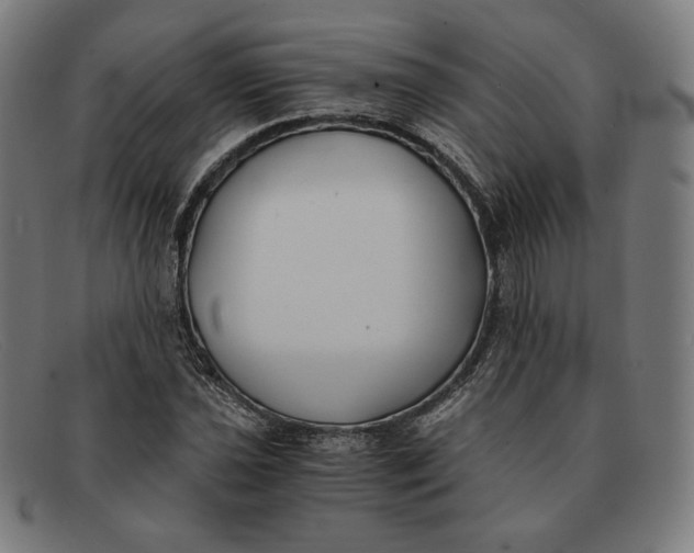 X0000091301021200708311332