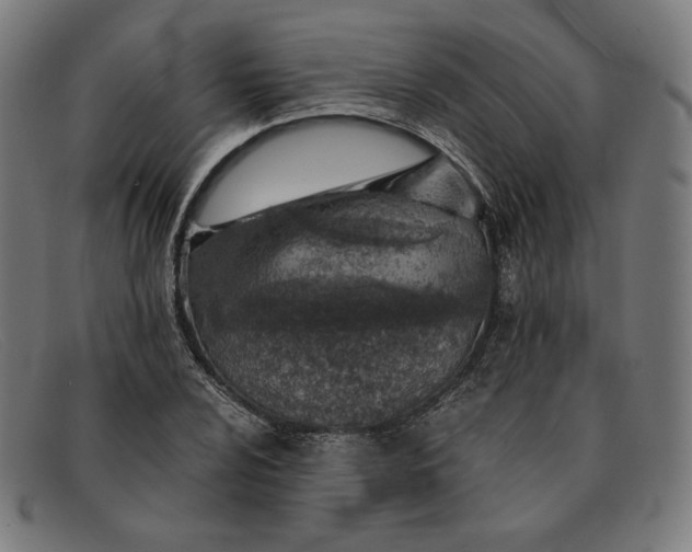 X0000091301024200708311332