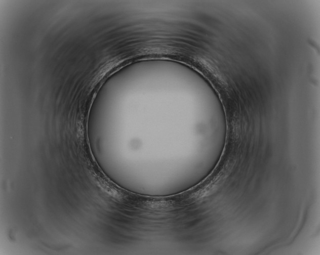 X0000091301025200708311332