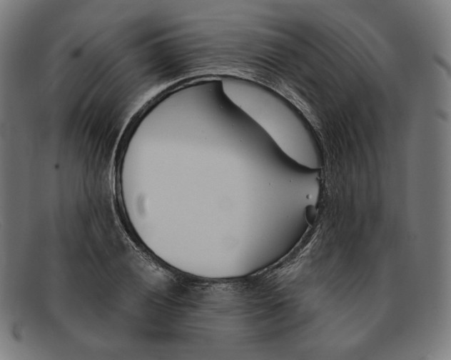 X0000091301028200708311332