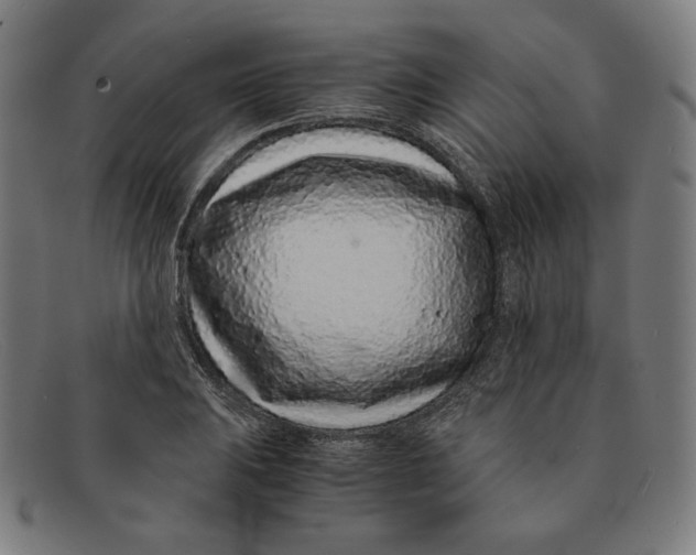 X0000091301031200708311333