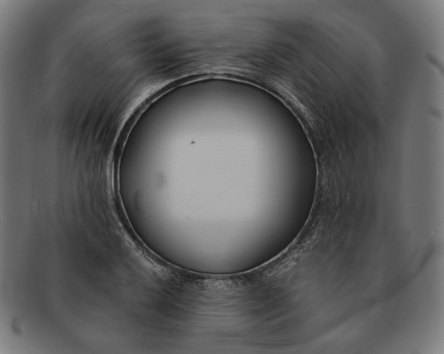 X0000091301032200708311333