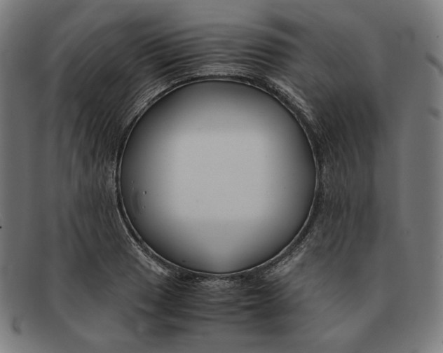 X0000091301033200708311333