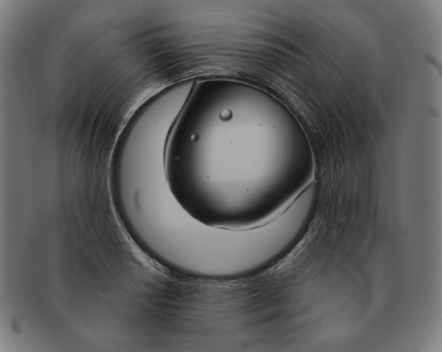 X0000091301034200708311333