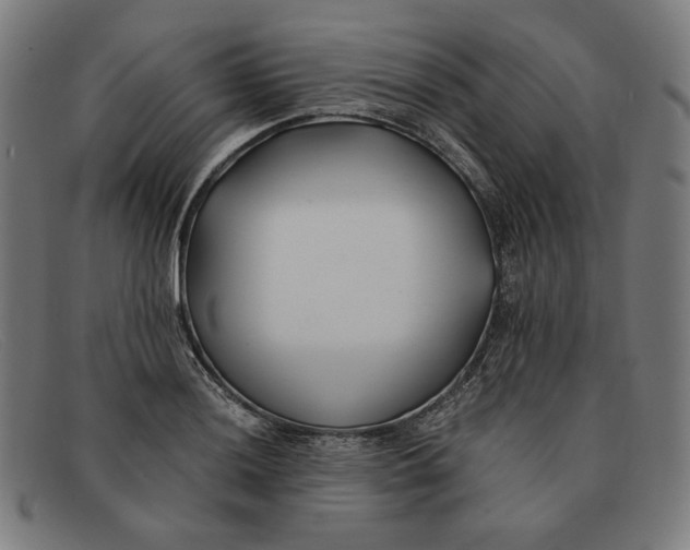 X0000091301036200708311333