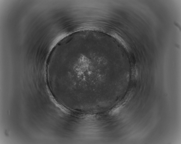 X0000091301038200708311333