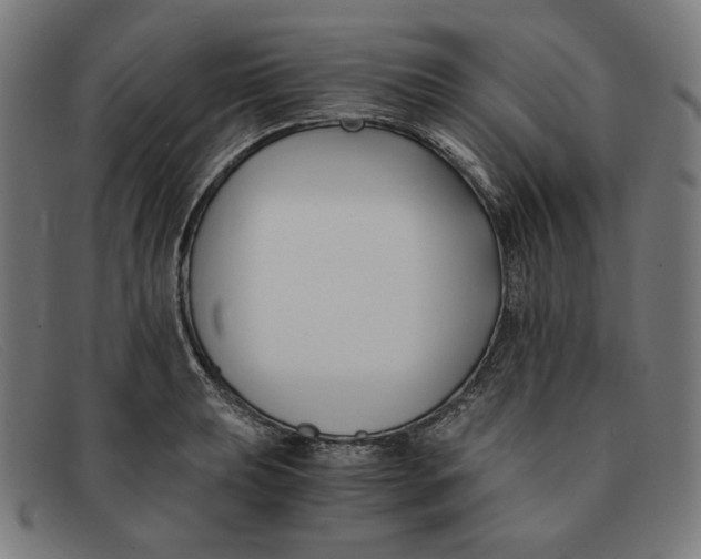 X0000091301039200708311333