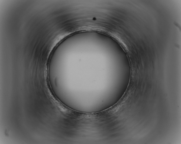 X0000091301040200708311333