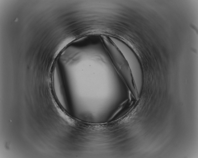 X0000091301042200708311333