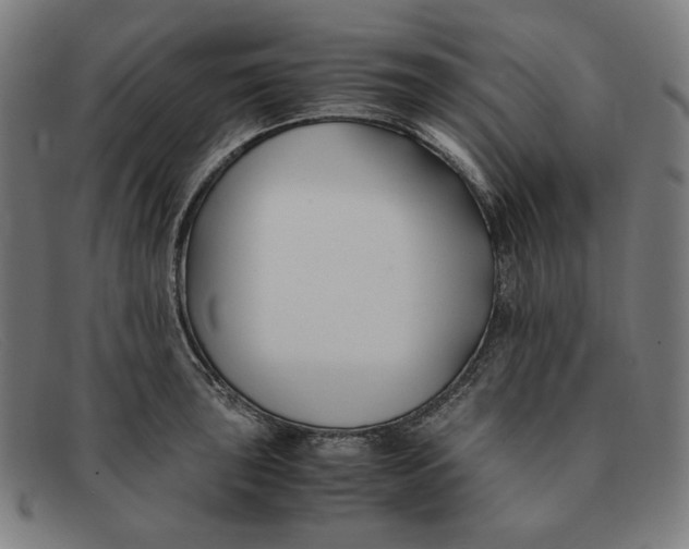 X0000091301043200708311333