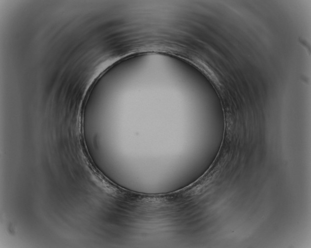 X0000091301044200708311333