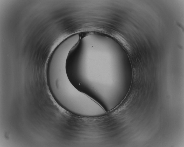 X0000091301046200708311333