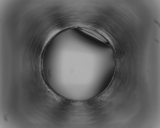 X0000091301048200708311333