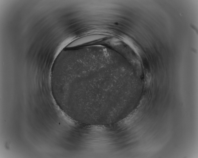 X0000091301050200708311333