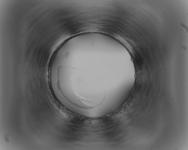 X0000091301051200708311333