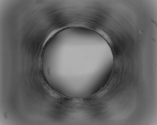 X0000091301052200708311333