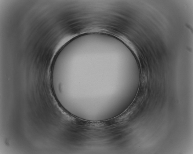 X0000091301053200708311333