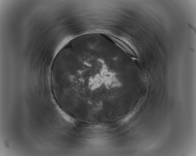 X0000091301054200708311333