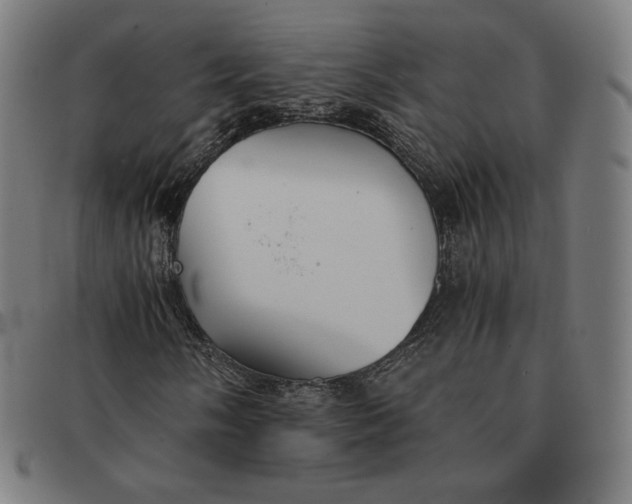 X0000091301058200708311332