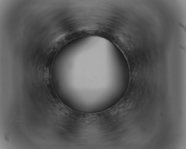 X0000091301062200708311332