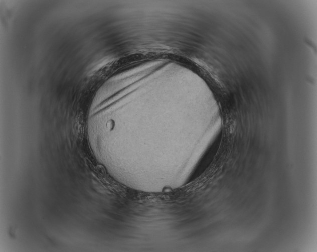 X0000091301063200708311332